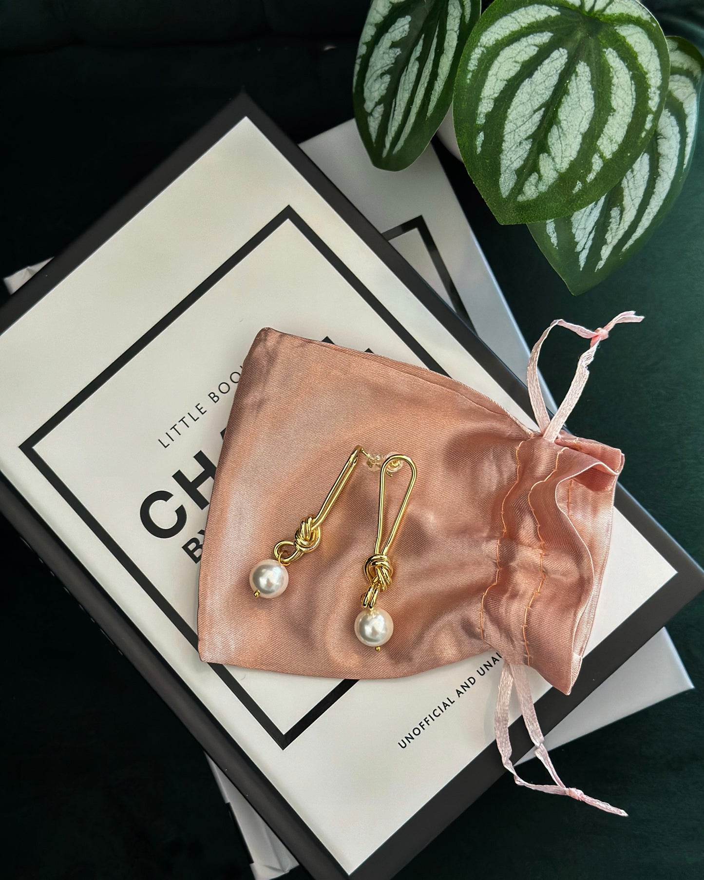 Cher Earrings *RE-STOCK*